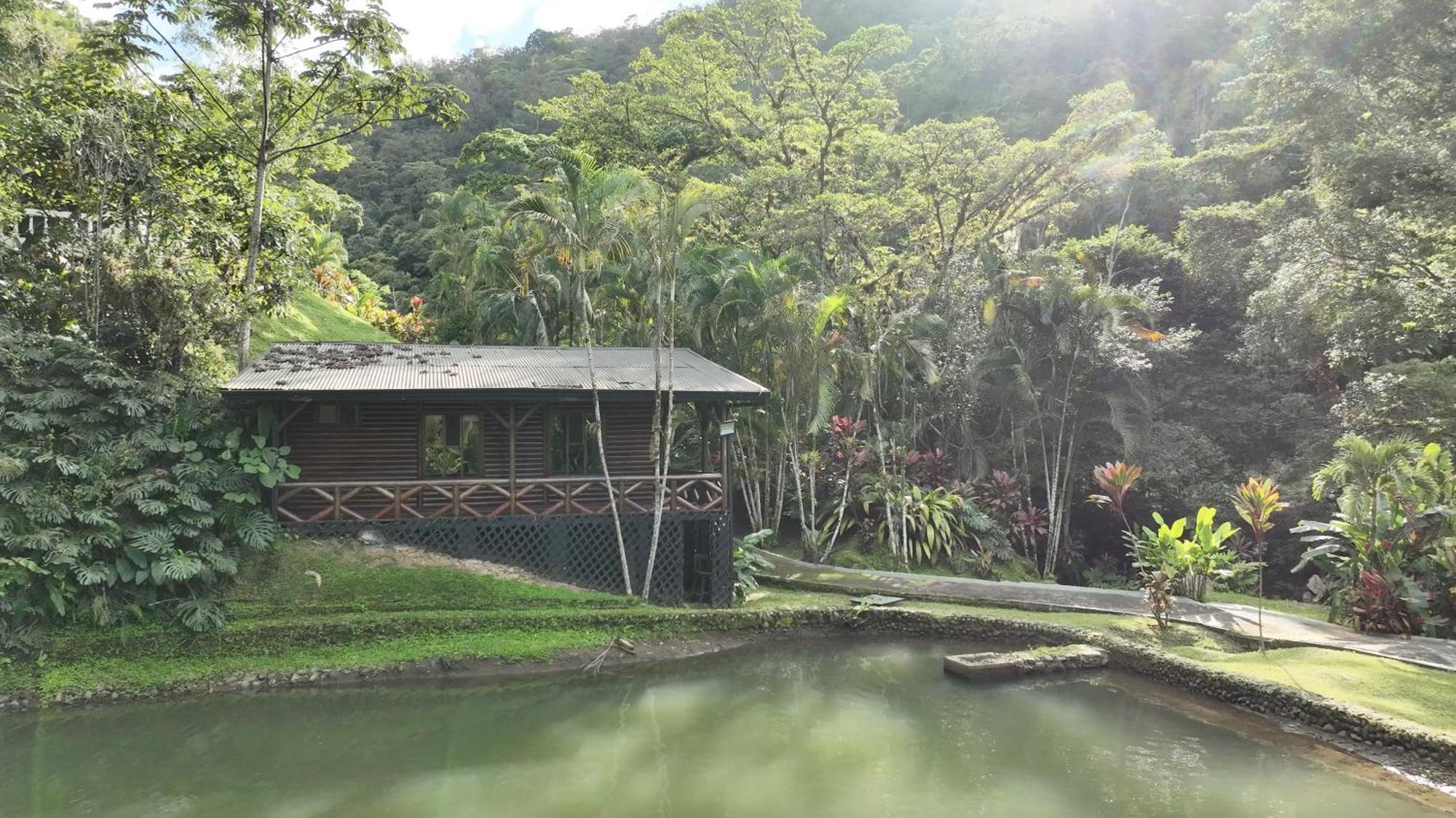 Rio Perlas Thermal Resort & Spa Cartago Luaran gambar
